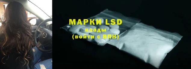ешки Аркадак
