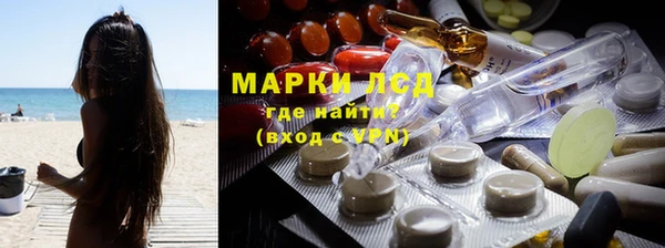 ешки Аркадак