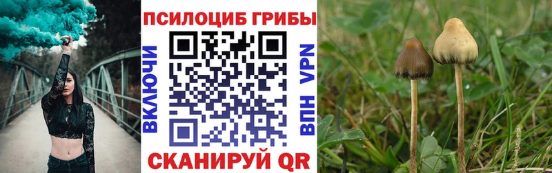Галлюциногенные грибы Cubensis  Купить закладки  Спас-Клепики 