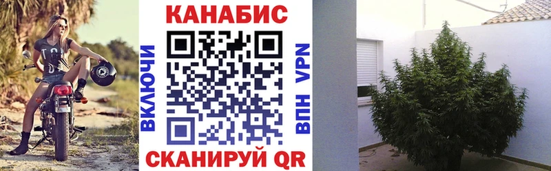 Купить  Спас-Клепики  Бошки марихуана индика 